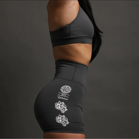 DARC SPORTS HARDCORE V2 "ENERGY" TRAINING SHORTS IN WOLF GRAY - Picture 6 of 6